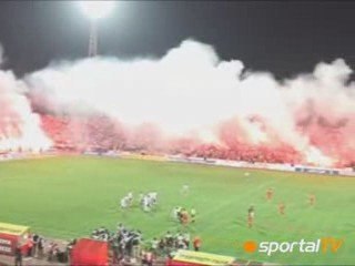 CSKA SOFIA vs tuluza - OUR LOYALTY IS OUR PRIDE