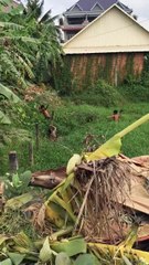 A MAN GOT HIT BY THE PEOPLE IN THE VILLAGE