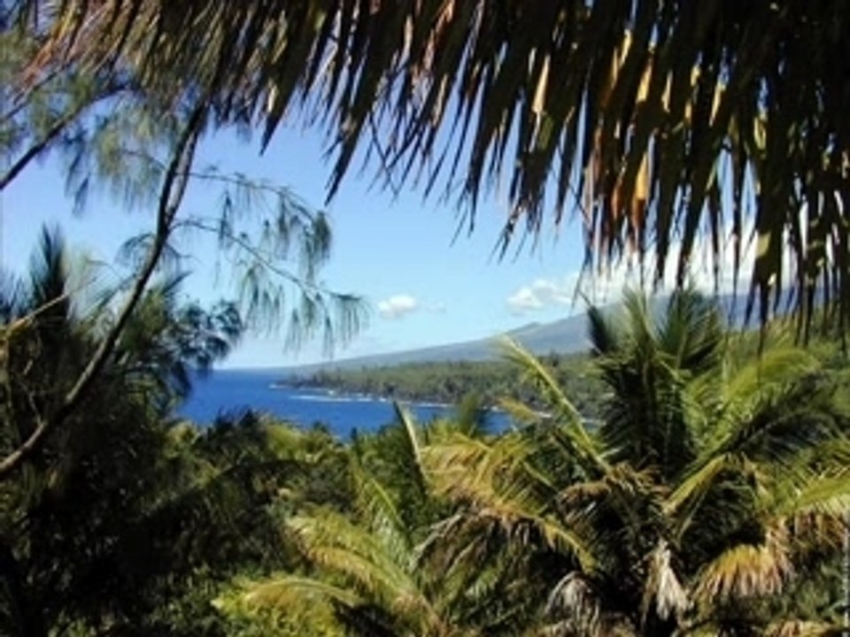 Dédie aux 974 creole reunionnais qui ont quitté l'île