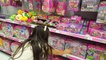 Summer has started! Season 5 Shopkins Toy Hunt Time! Score!