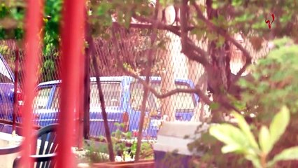 ديانا مقلّد في "ضدّي" تروي حقائق وقصص مؤثرة عن نساء معنّفات