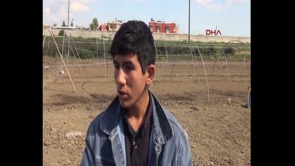 Traktörle uyuyan kuzenini ezdi