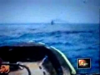 Tamil Eelam Navy    world's Most strongest rebel navy