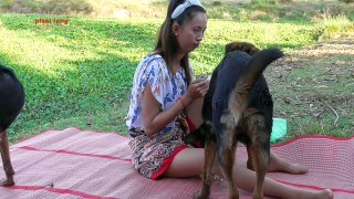 Lovely amazing girl playing with groups of baby cute dog - funny cute dog