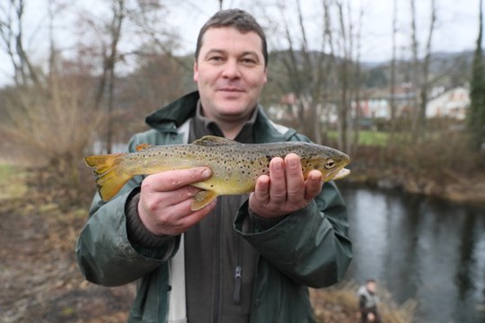 Une truite sauvage de 37 cm pour l'ouverture de la pêche