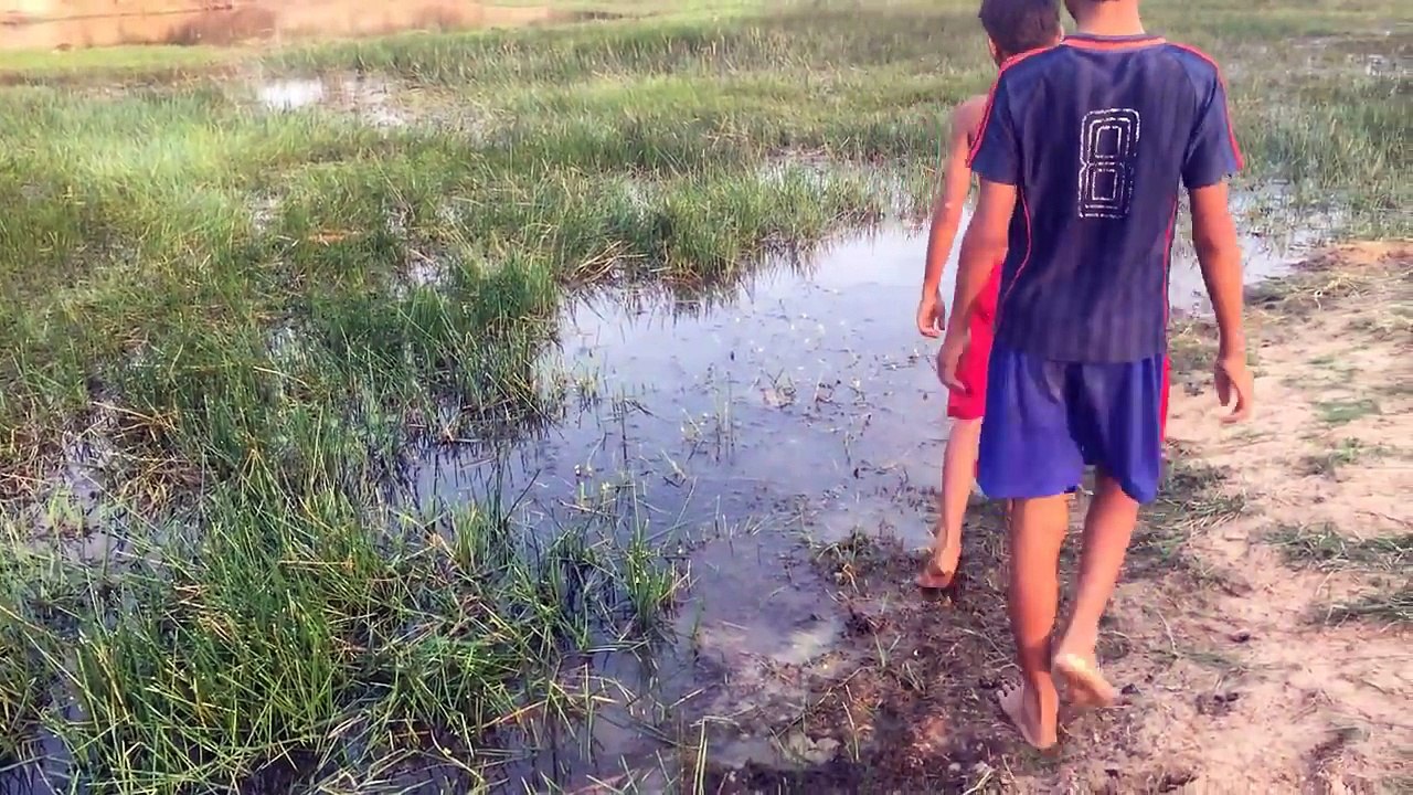 Primitive Spear Fishing - How To Make A Bamboo Spear (100% Work) - Catch n Cook