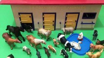ARMEMOS LA GRANJA DE LOS ANIMALES HD - FARM ANIMALS - VIDEOS EDUCATIVOS PARA NIÑOS