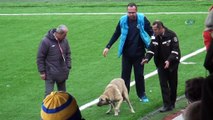 Sahaya giren köpek güvenlik görevlilerine ve futbolculara zor anlar yaşattı