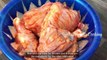 Gypsy Style Roast Chicken Made With Basic Ingredients (Eid Special)