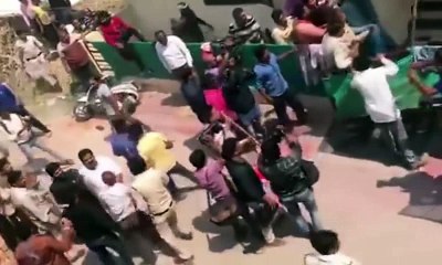 Leopard Invasion In Indore Housing Colony Caught On Camera