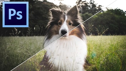 Como MELHORAR suas fotografias adicionando FLARE!