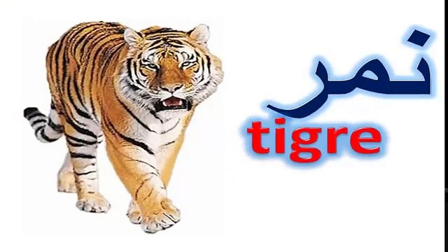 تعليم الحيوانات باللغة الفرنسية والعربية للاطفال - learn animals in French for kids