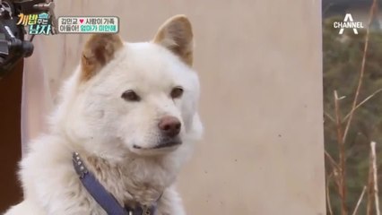(눈물 주의) 삼둥이를 떠나보낸 사랑이 슬픈 울음 #모성애