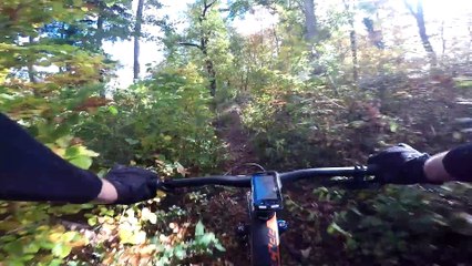 17 Arboretum Aubonne