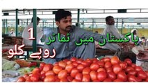 Pakistani  Tomatoes rates || ٹماٹر ایک روپے کلو || پاکستانی اوام خوشی