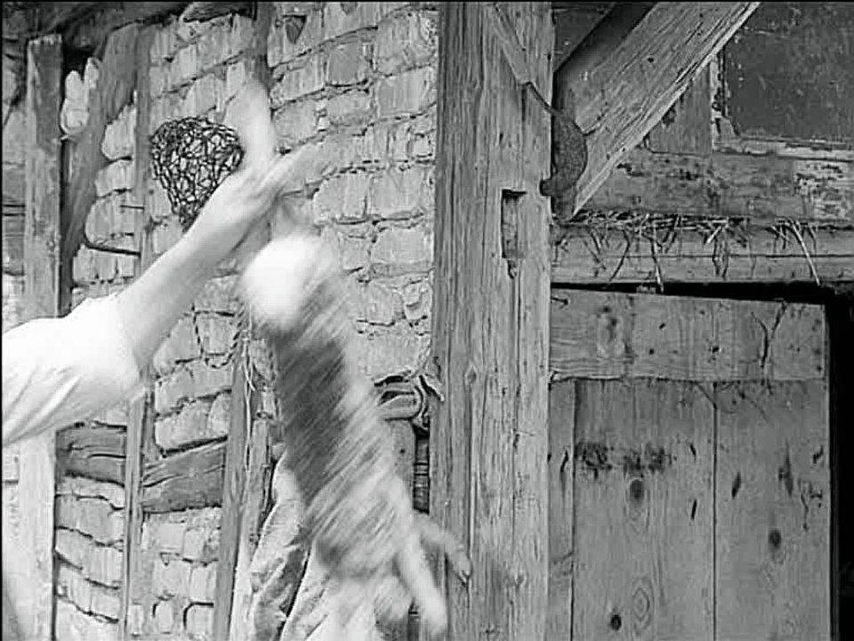 Stülpner Legende - Die Treibjagd