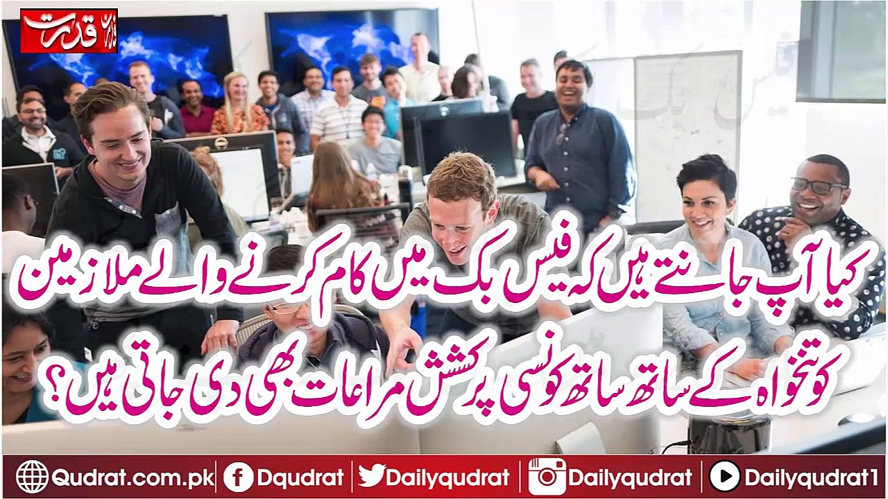 Did you know Facebook Employ Salaries