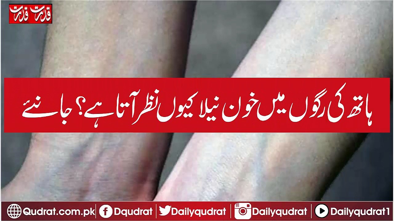 Why does blood blue appear in hand veins