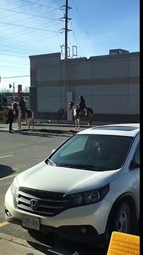 Passer au Drive de Starbucks... a CHEVAL !