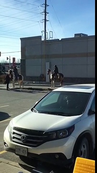 Passer au Drive de Starbucks... a CHEVAL !