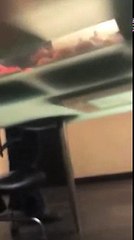 رامز جلال | الحق شوف احمد فتحي قبل السكتة القلبية.. اثناء تحضير رغدة متوحشة