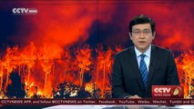 France bush fire: Three injured, 4,500 hectares of land burnt