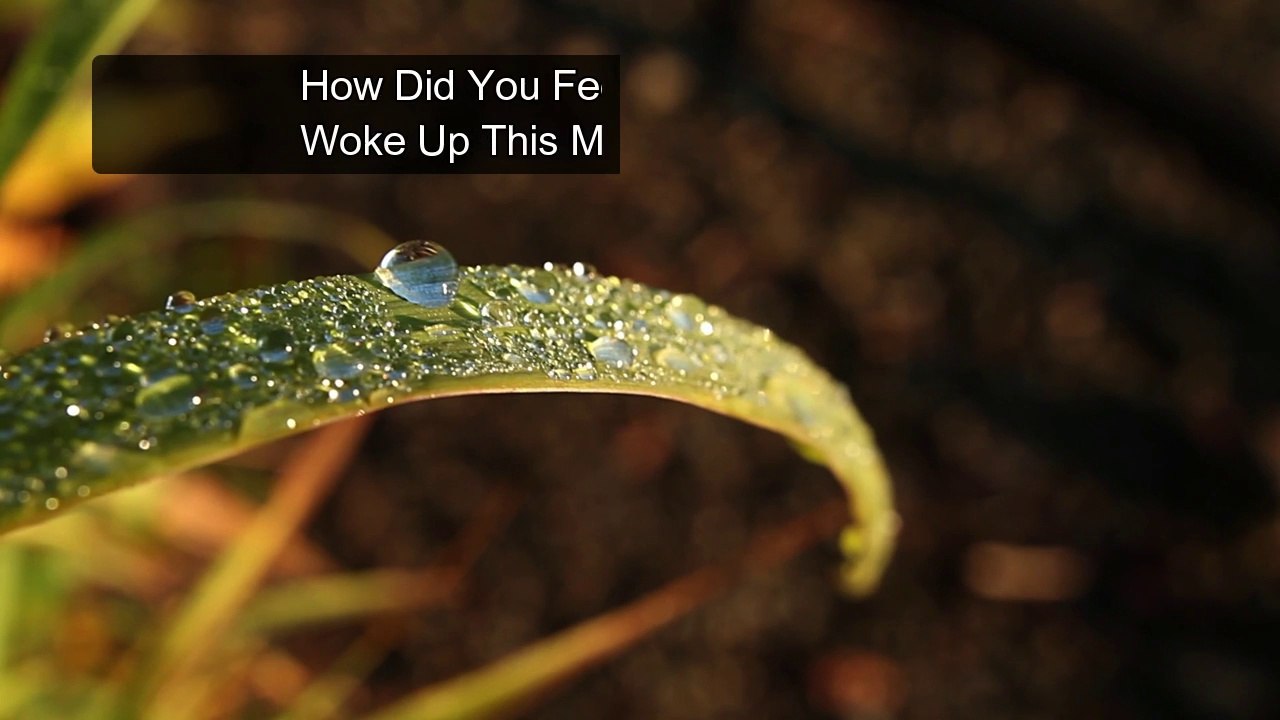 Morning Ritual 9 things successful people do before breakfast (Morning Routine Habits)