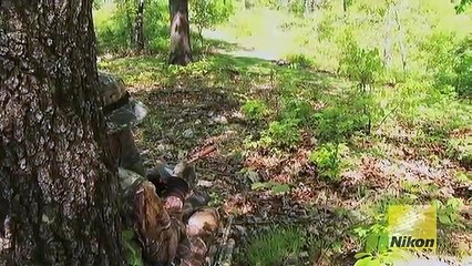 Turkey Hunting Tips: The Best Turkey Call (#77) @GrowingDeer.tv