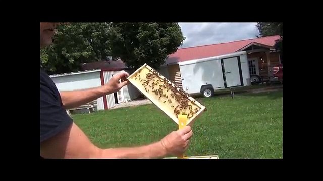 Beekeeping - How Adding Wax Can Improve Bees Drawing Out Honey Supers