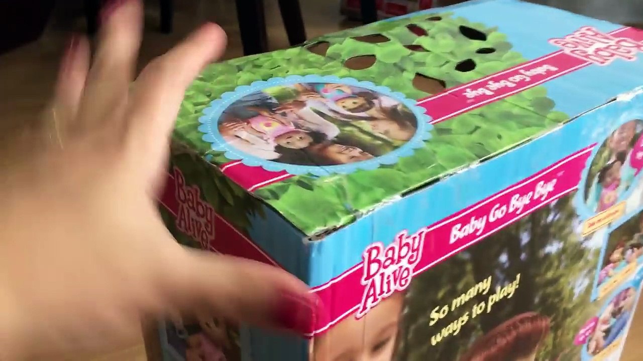 BABY ALIVE QUE ENGATINHA HORA DO PASSEIO | Canal da Lulu