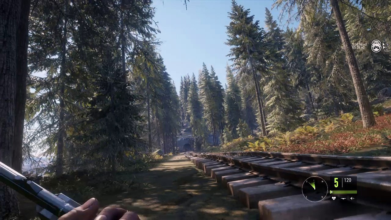 theHunter: Call of the Wild_20180310180949
