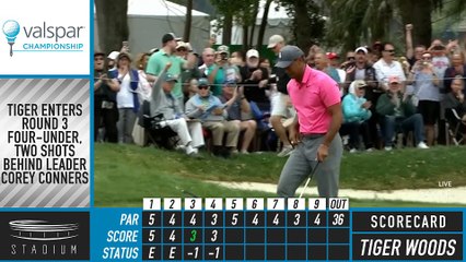 Woods One Shot Back Heading Into Final Round at Valspar