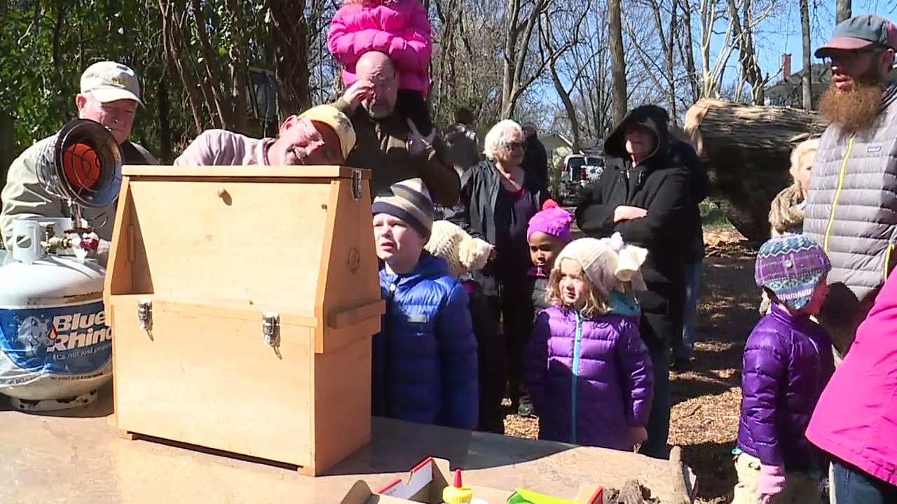 300-Year-Old Tree Cut Down in North Carolina May be Thickest Red Oak in U.S.