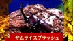 5.カブト★クワガタ世界最強タッグトーナメント 【Beetles★Stag Beetles World Strongest Tag Tournament】