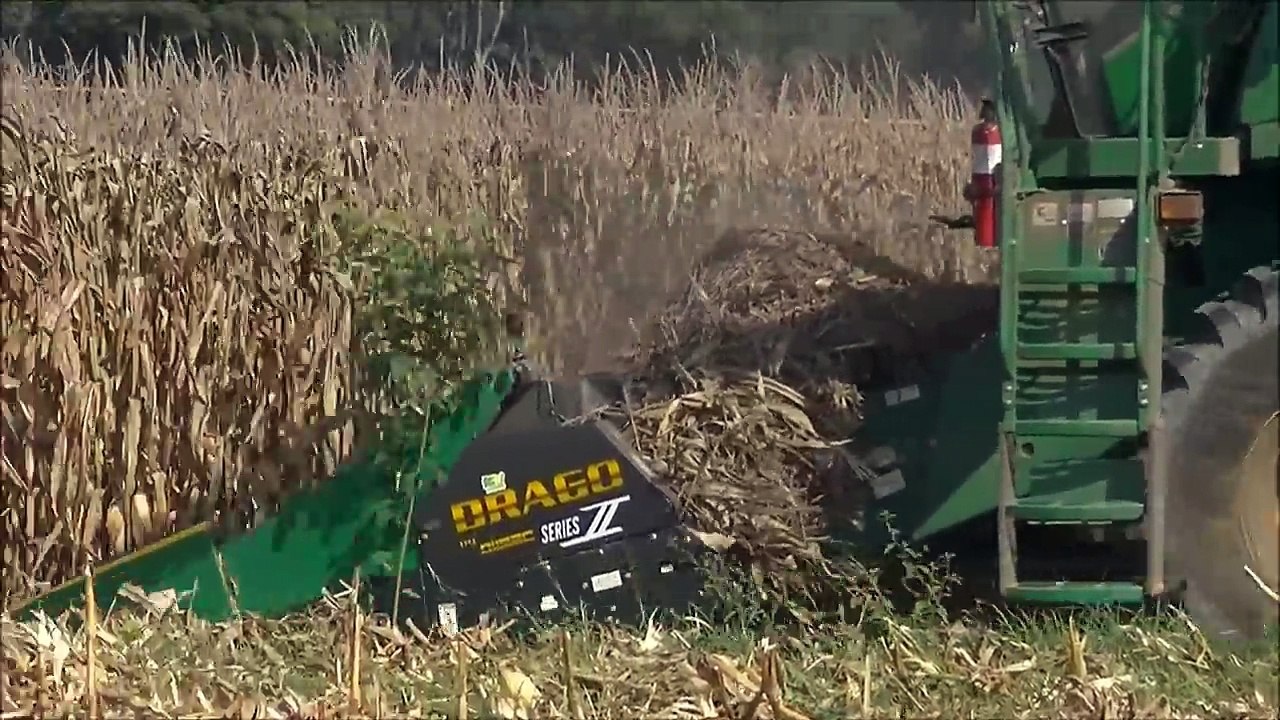 MURRAY FARMS CORN HARVEST new Part 4