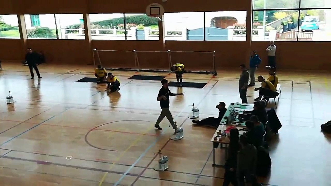 torball