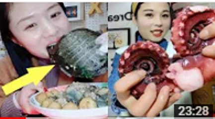 EATING SHOW COMPILATION-CHINESE FOOD-MUGBANG-Greasy Chinese Food-Beauty eat strange food-NO.64
