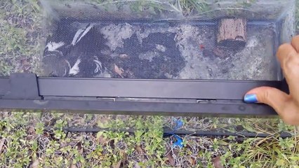 How to Catch a Mockingbird (or. Stupid Bird Catches Self)