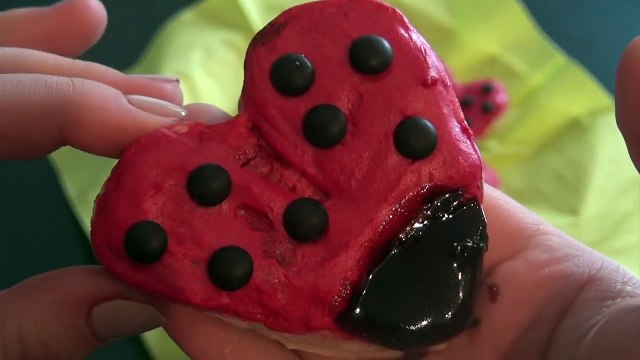 Miraculos Buburuza si Motan Noir | DIY