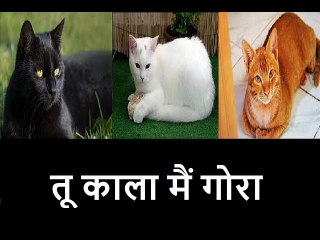 तू काला मैं गोरा Tu Kala Main Gora