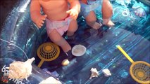 Nenucos en aventura y baño en la piscina bañera de Juguetes de Nenuco en español