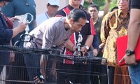 Burung Milik Jokowi Kalah di Lomba Kicau Burung