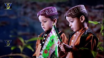 Beautiful Punjabi Naat - Aaqa jee karda madinay main awan - Hakeem Amir Sultani Roofi -