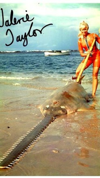 SAVING A SHARK 1970
