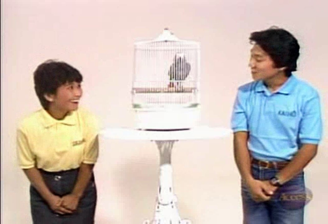 Let's Learn Japanese Basic 21. I can't speak English Part 3