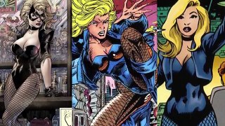 How many fighting styles does Black Canary know in CWs Arrow?