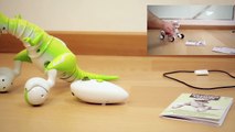 Zoomer DINO: il dinosauro robot che si controlla anche a mano