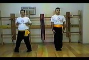 Wing Chun with Terence Yip Chum Kiu Part 8