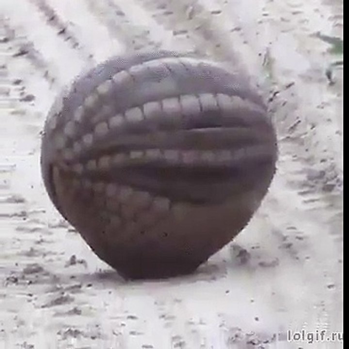 MÜTHİŞ BİR SEY ÇOK TATLI YAA