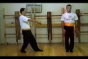 Wing Chun with Terence Yip Chum Kiu Part 9